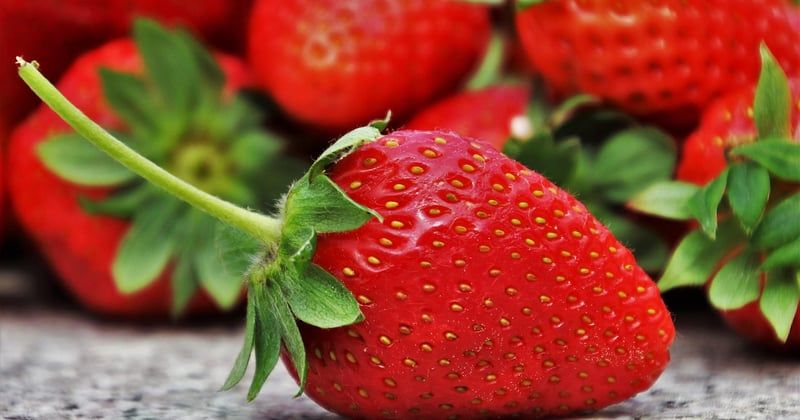 15 recettes de desserts aux fruits de saison qui vont ravir vos papilles